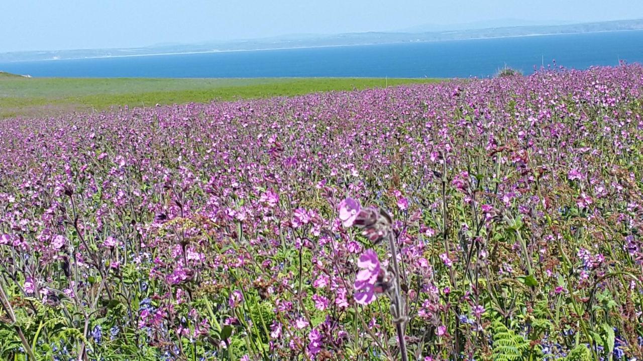 A Beach Holiday In Pembrokeshire 외부 사진